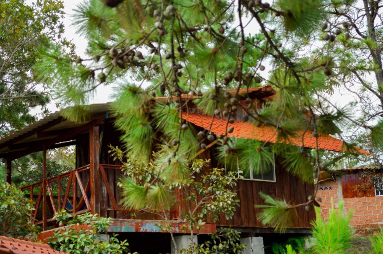 Hotel Y Restaurante Las Margaritas Perquín Екстериор снимка